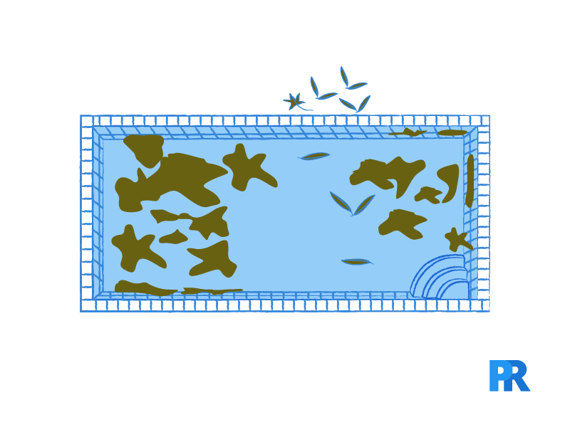 green brown pool stain