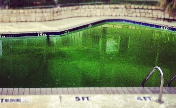 green pool shock treatment