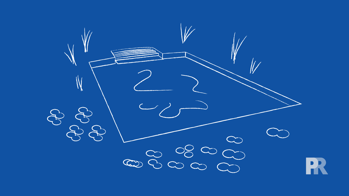 natural swimming pool